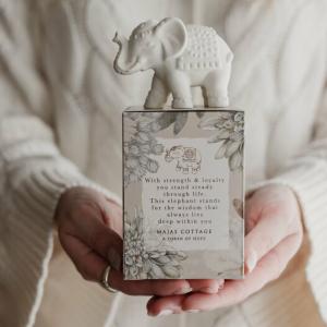 Token/Lyckofigur Elefant i gåvobox - Majas lyktor/ Hjärnfonden Barn