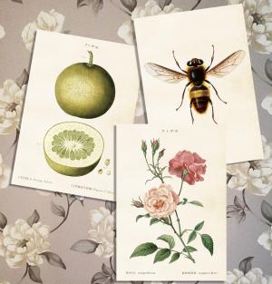 Poster Vintage Collection, 35 x 50cm
