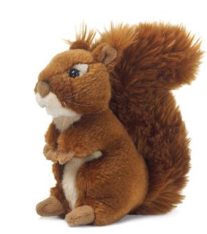 Ekorre - WWF (Världsnaturfonden) Doppresent