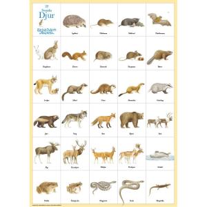 Affisch Svenska Djur Doppresent
