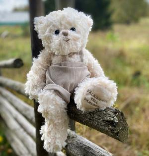 Nallen Lilla Gossen "Välkommen till världen" - Bukowski Design Doppresent